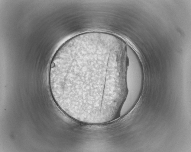 X0000114431246200911271611