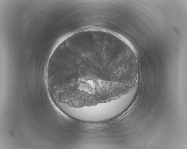 X0000114431247200911271611