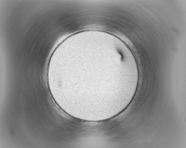 X0000114431248200911271611