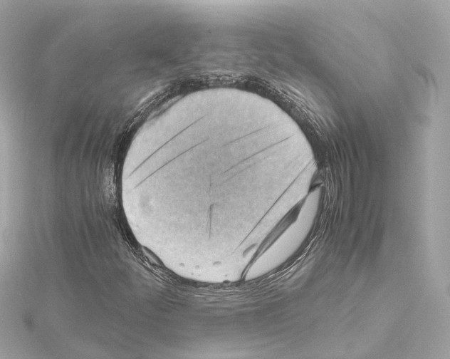 X0000114431252200911271610