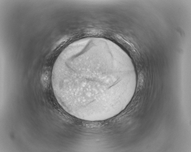 X0000114431254200911271610