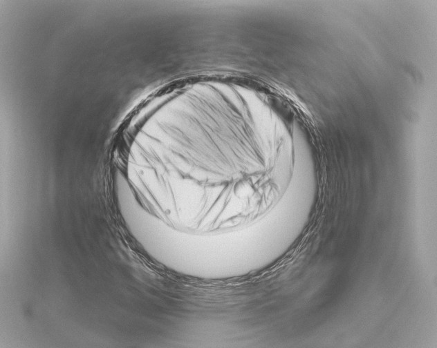 X0000114431256200911271610