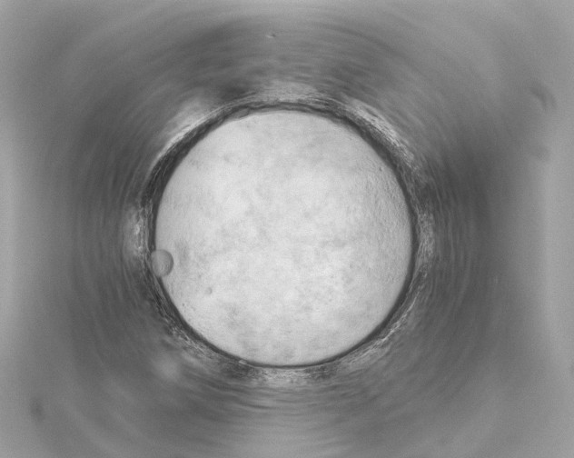 X0000114431258200911271610