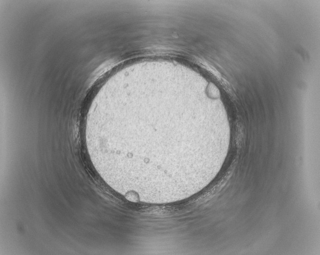 X0000114431259200911271610