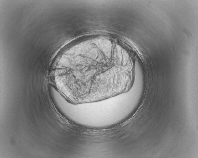 X0000114431260200911271610