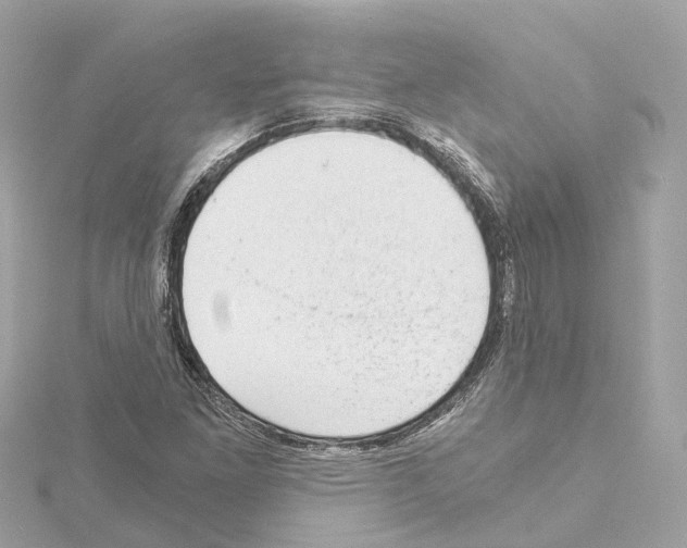 X0000114431261200911271610