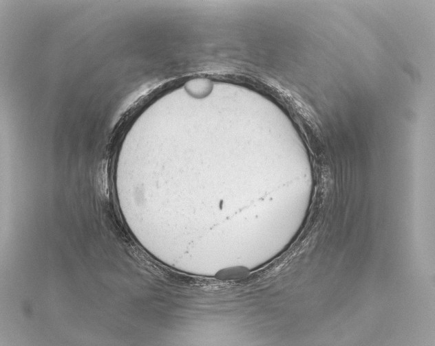 X0000114431262200911271610