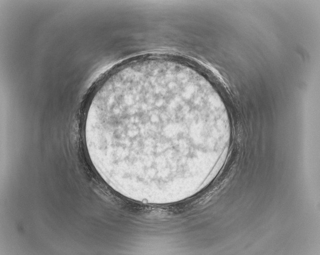 X0000114431263200911271610