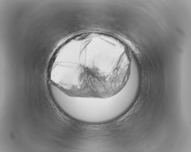 X0000114431264200911271610