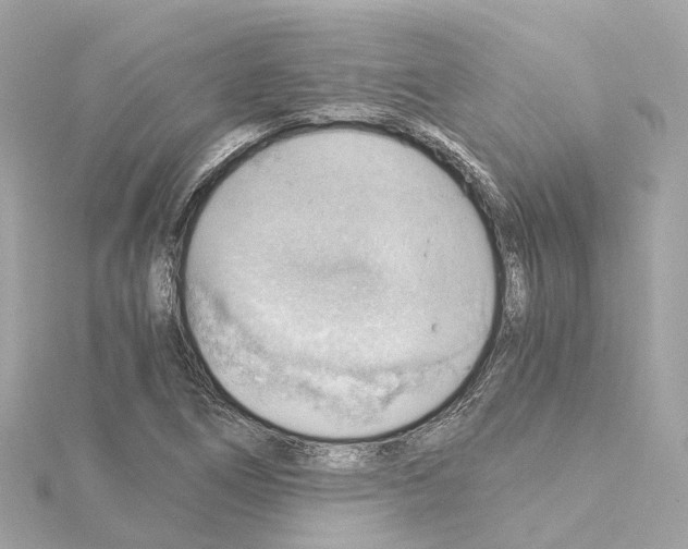 X0000114431266200911271610