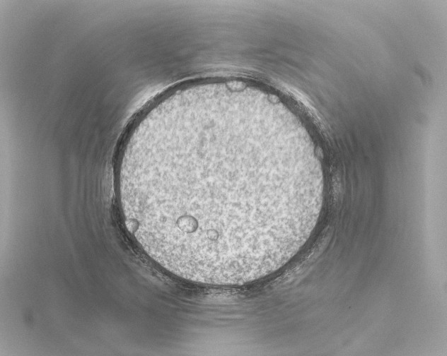 X0000114431267200911271610