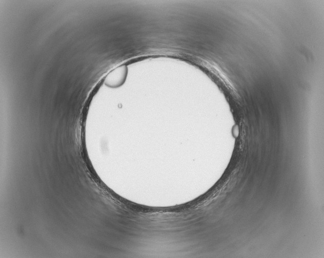 X0000114431268200911271610