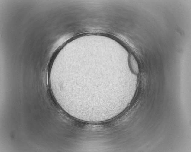 X0000114431269200911271610