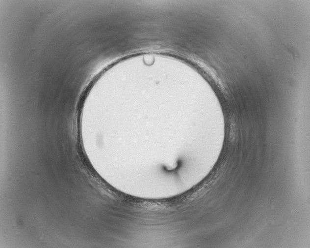 X0000114431270200911271610