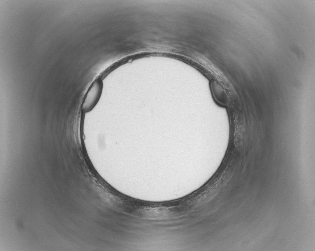 X0000114431272200911271610