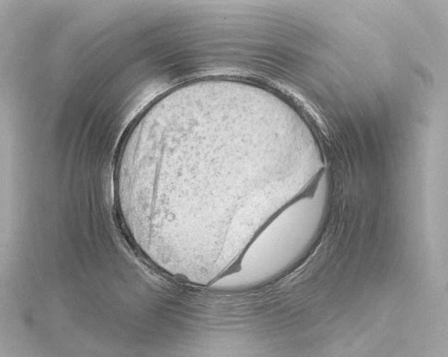 X0000114431274200911271610