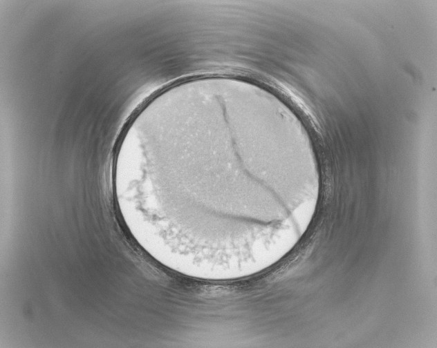 X0000114431275200911271610