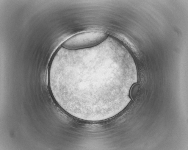 X0000114431276200911271610