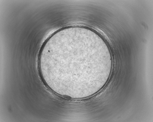 X0000114431277200911271610