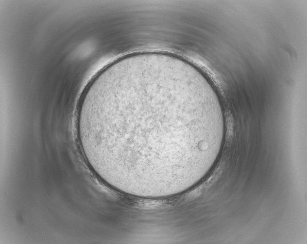 X0000114431278200911271610