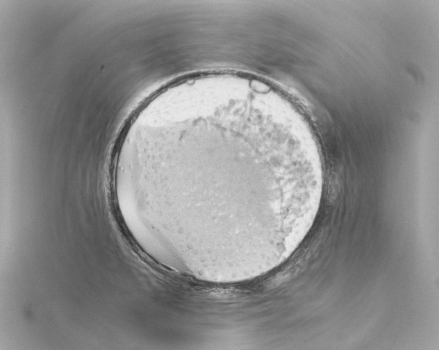 X0000114431279200911271610