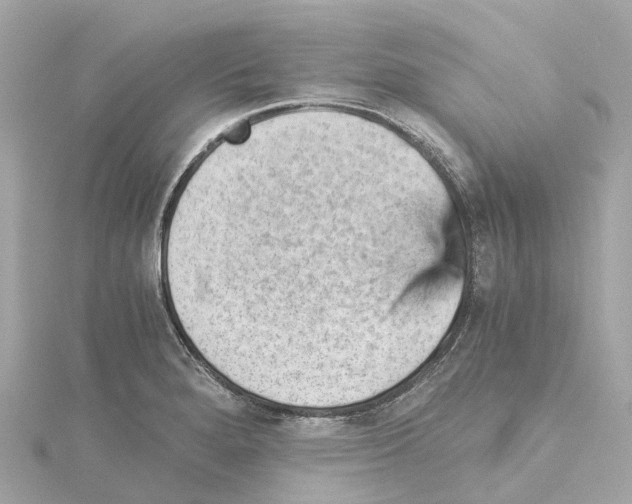 X0000114431280200911271610