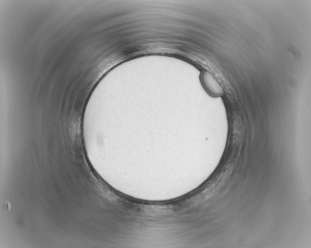 X0000114431281200911271610