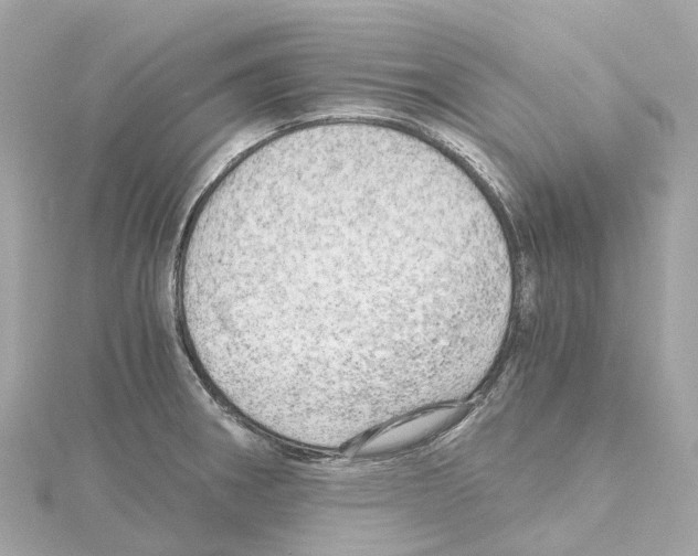 X0000114431282200911271610