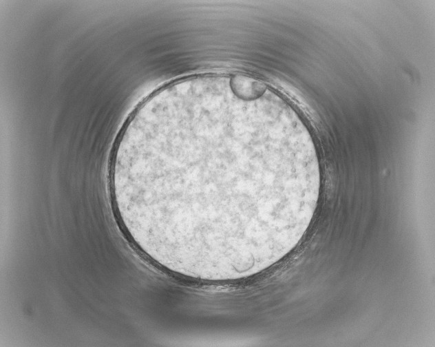 X0000114431283200911271610