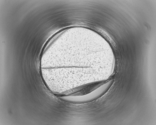 X0000114431284200911271610