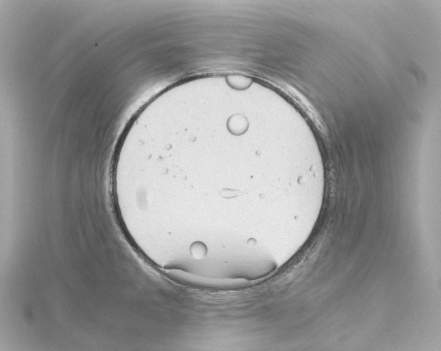 X0000114431285200911271610