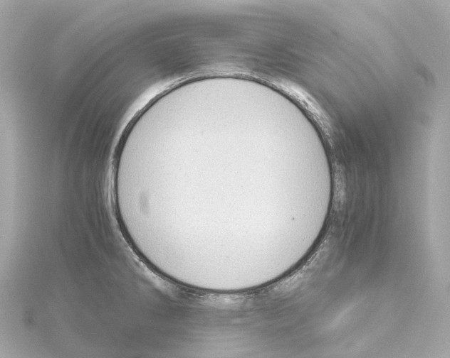 X0000114431286200911271610