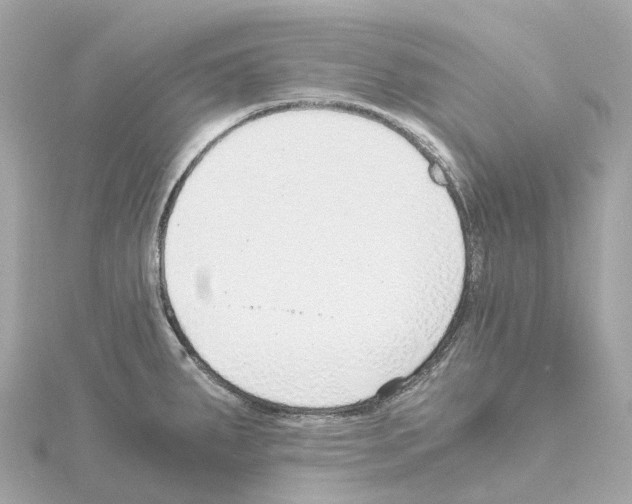 X0000114431287200911271610