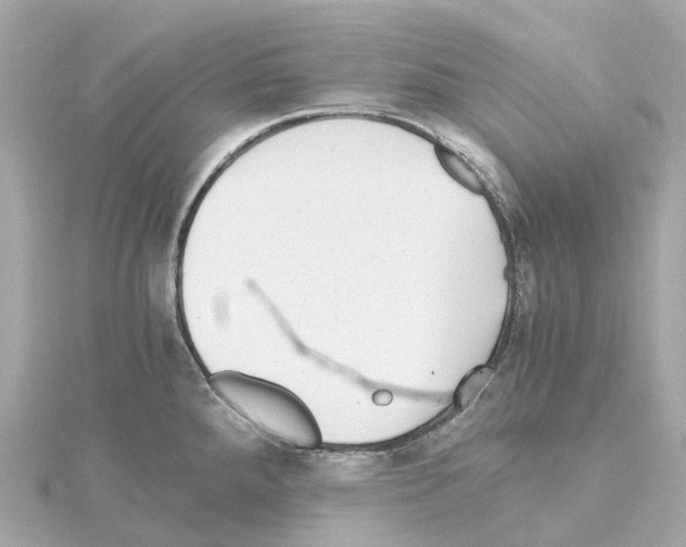 X0000114431288200911271610