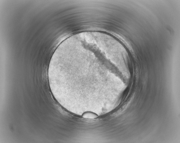 X0000114431289200911271610