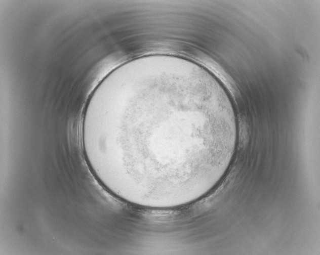 X0000114431290200911271610