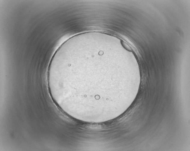 X0000114431291200911271610