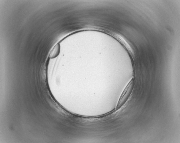 X0000114431292200911271610