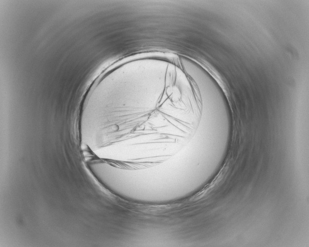 X0000114431293200911271610