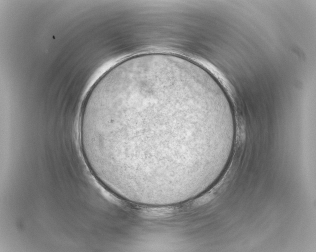 X0000114431294200911271610