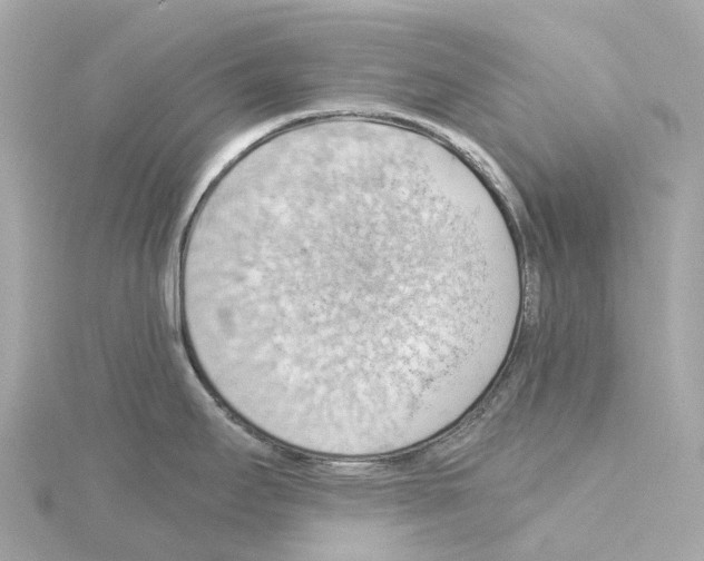 X0000114431295200911271610