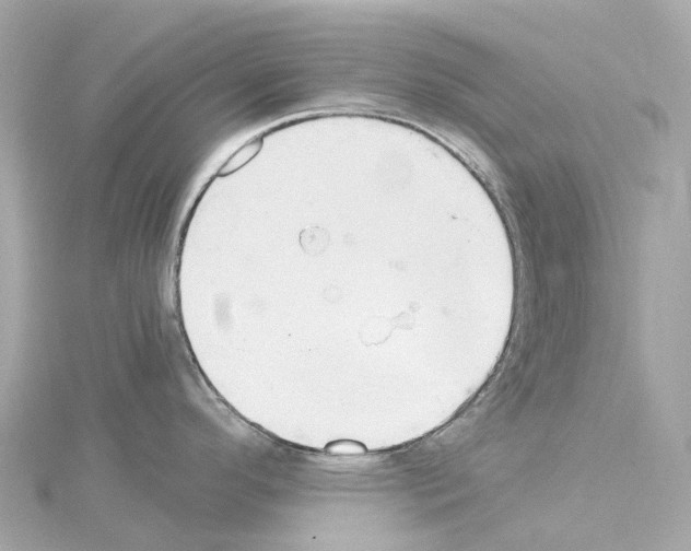 X0000114431296200911271610