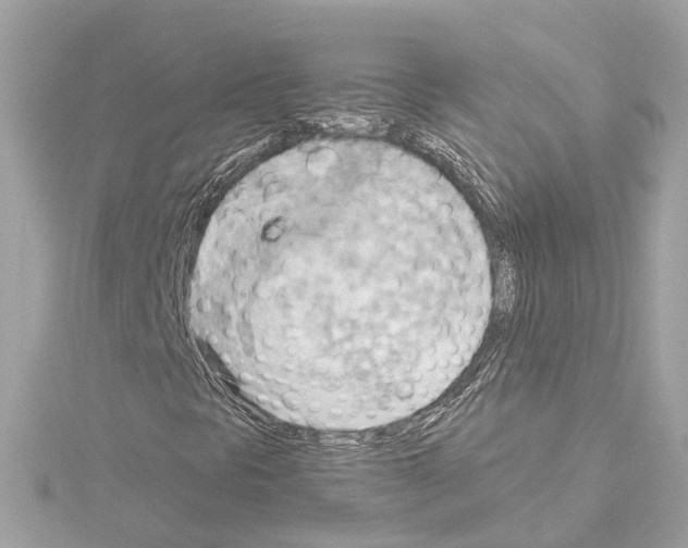 X0000114431297200911271609