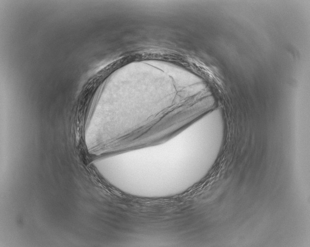 X0000114431303200911271609