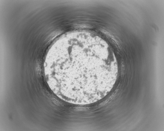 X0000114431305200911271609