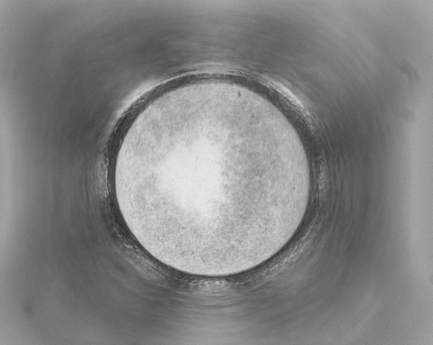 X0000114431310200911271609