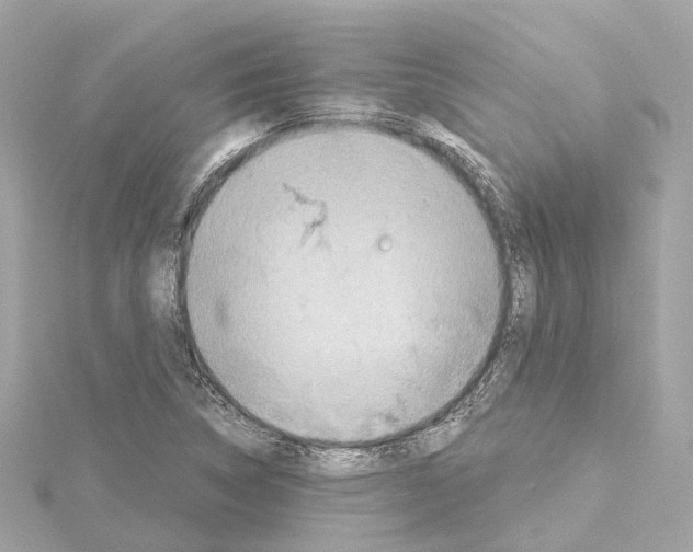 X0000114431314200911271609