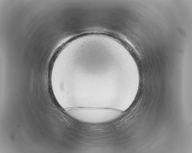 X0000114431315200911271609