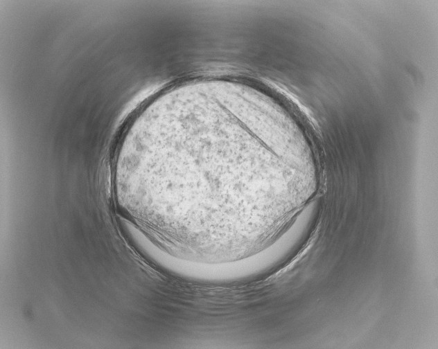 X0000114431317200911271609