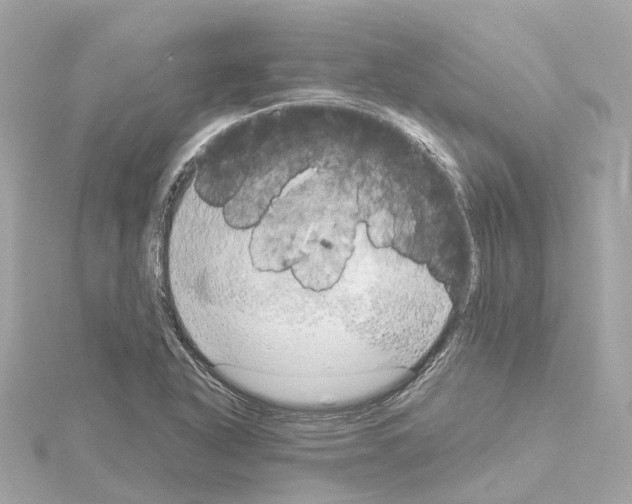 X0000114431318200911271609